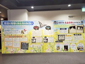 03-昆虫と地球とみんなのみらい①