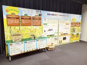 11-あり・ナナフシ①