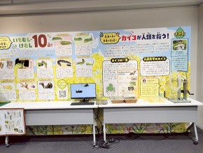 12-芋虫・毛虫③