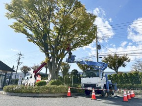 丸沼イルミネーション2025 (1)