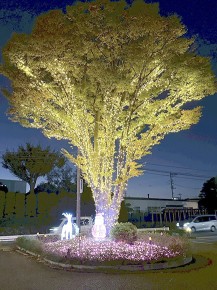 丸沼イルミネーション2025 (2)