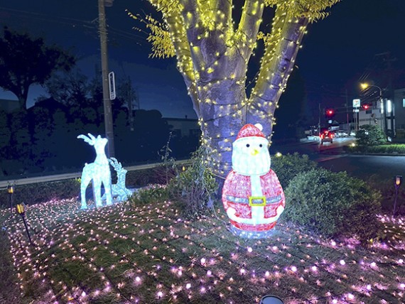 Asaka City Illumination