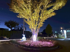 丸沼イルミネーション2025 (5)