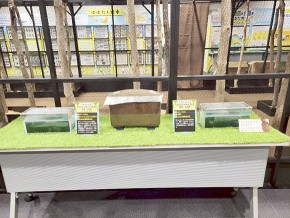 LINE_ALBUM_大昆虫展2025_250902_54