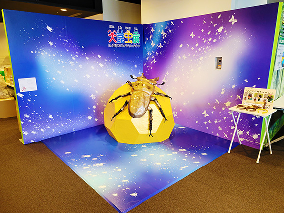 フォトスポット-HP